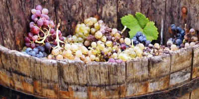 Harvest Fiesta