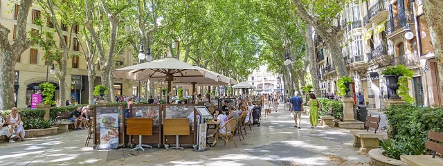 Restaurants and Bars