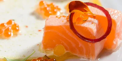 Salmon tataki
