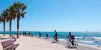 Discover Palma's coastal landscape: bike tour from Palma to Arenal