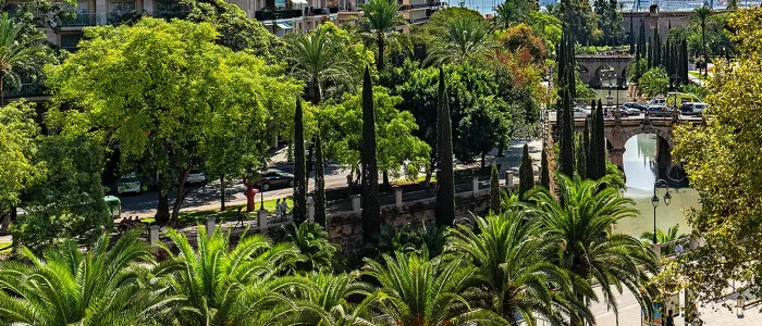 Paseo Mallorca