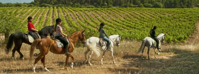 Satteln Sie auf für das Abenteuer Ihres Lebens in den malerischen Landschaften Mallorcas