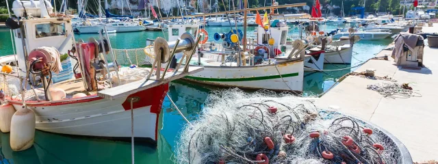 Aktuelles Mallorca Wetter mit 14-Tage-Vorhersage