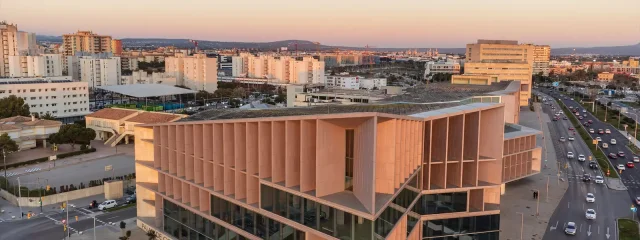 Discover the Phenomenal Growth and Appeal of Nou Llevant