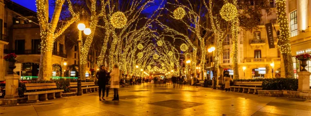 Begleiten Sie uns am 23. November zu einer bezaubernden Illuminationsfeier