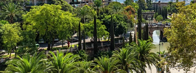 Die ruhige Harmonie des Paseo Mallorca entdecken
