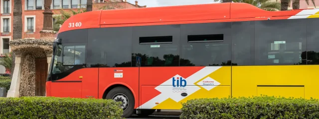 Free bus rides to stop in January