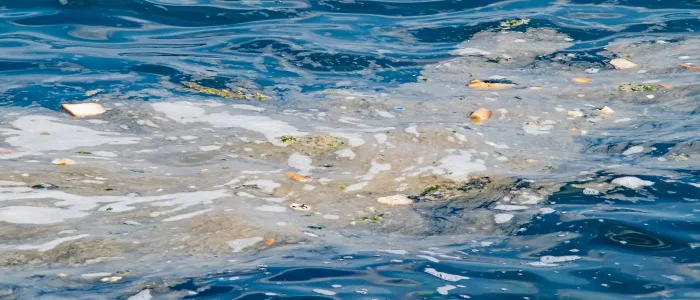 Basura y Mares