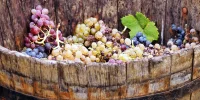 A Toast to Autumn: Celebrating Mallorca's Lush Harvest Festivals