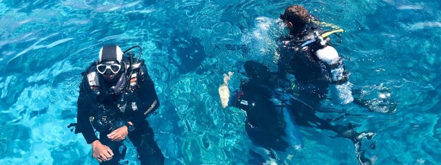 Diving in Mallorca