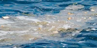 Una Marea Creciente: Las Limpiezas de Basura en el Mar Aumentan en Mallorca y las Islas Vecinas
