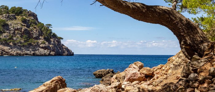 Cala Tuent