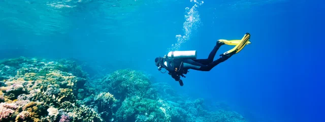 Top diving sites