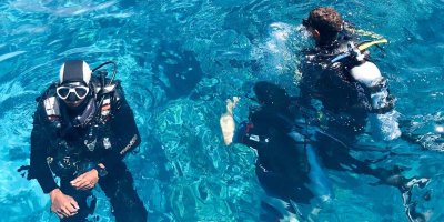Diving in Mallorca