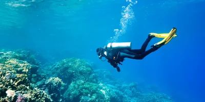 Top 3 diving sites