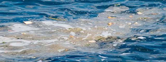 La Limpieza de la Costa Española Causa Olas: Cobertura de Profundidad de la Basura en el Océano