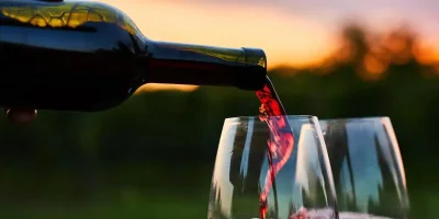 Red Wine Guide Southern Europe