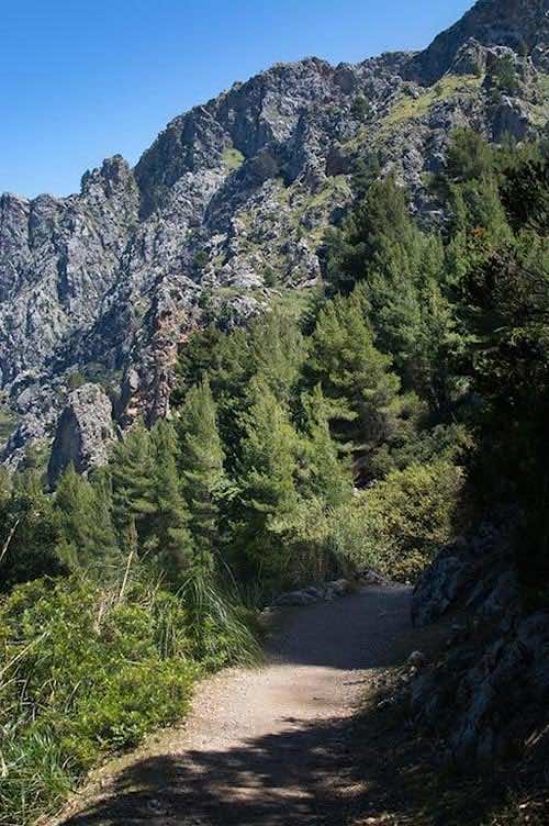Wanderweg im Tramuntana-Gebirge