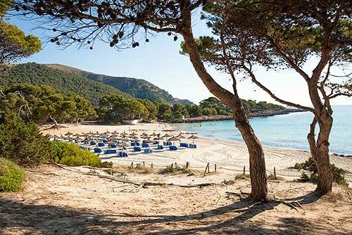 Playa Cala Agulla Mallorca