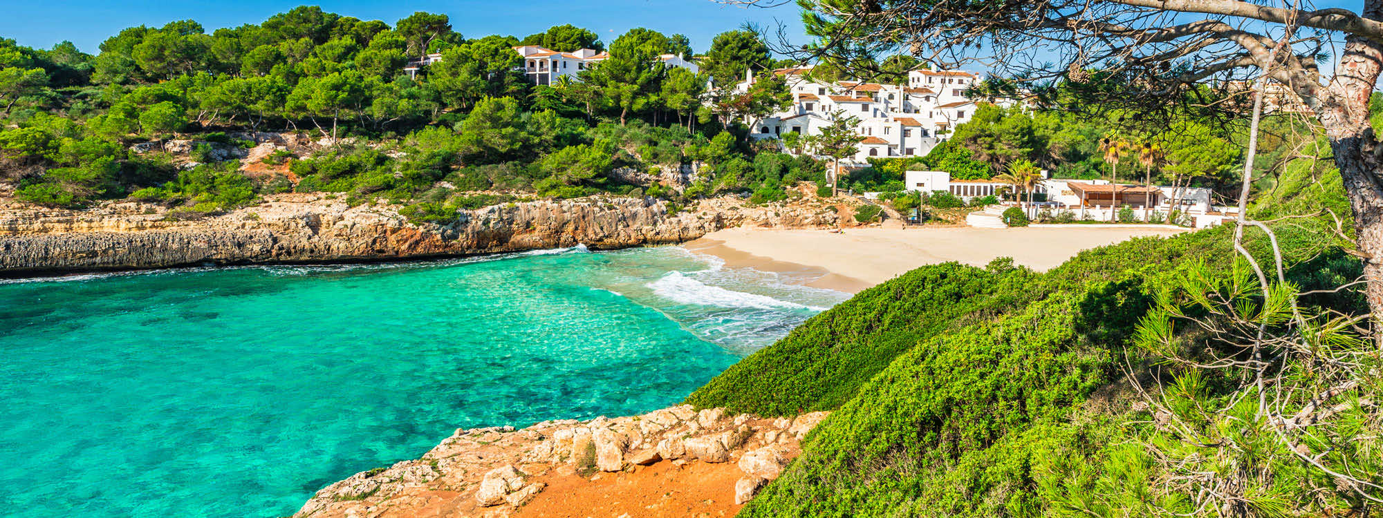 cala anguila groß