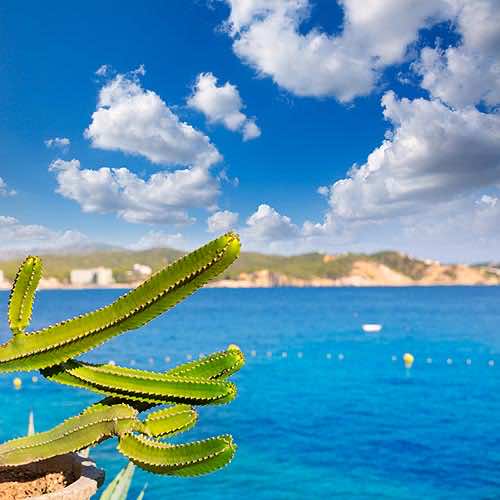 Mallorca Paisaje