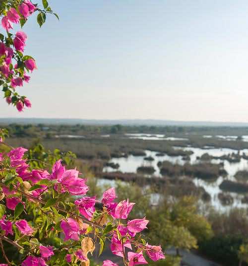 Urlaub beim Naturpark S´Albufera auf Mallorca