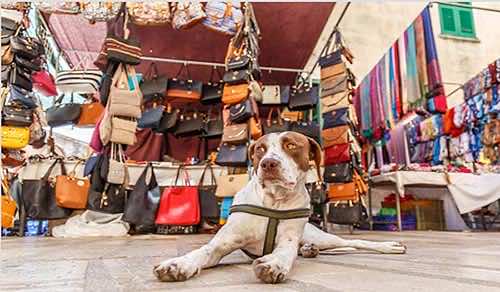 Mallorca shopping