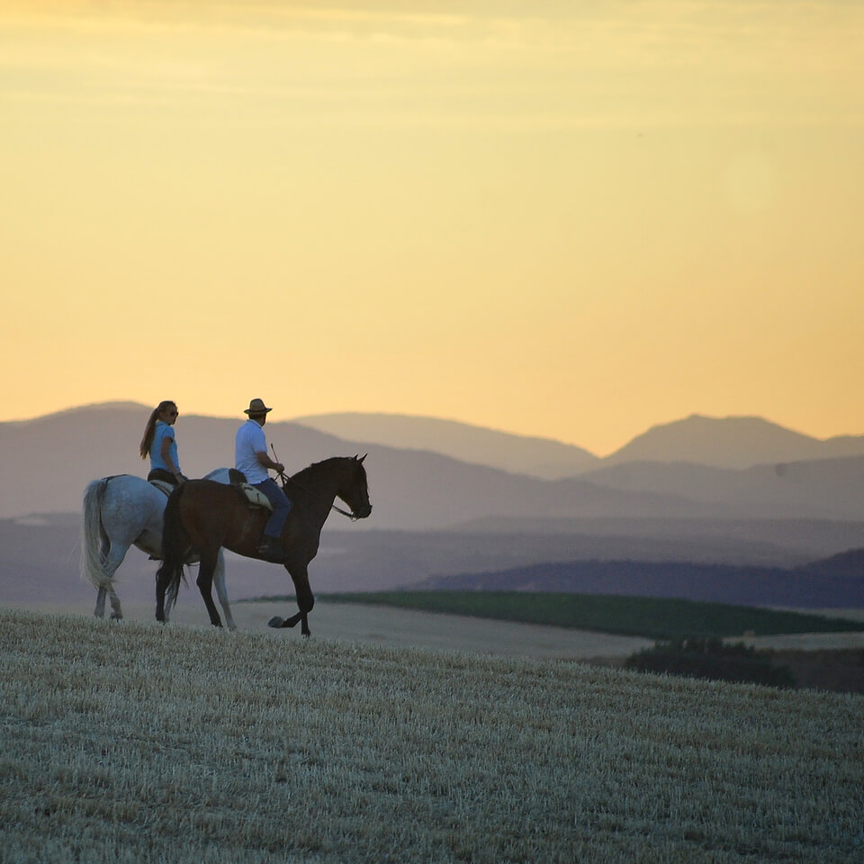 sonnenuntergang reiten