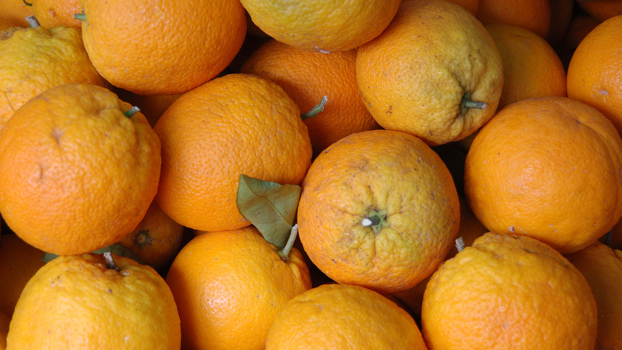 a pile of oranges
