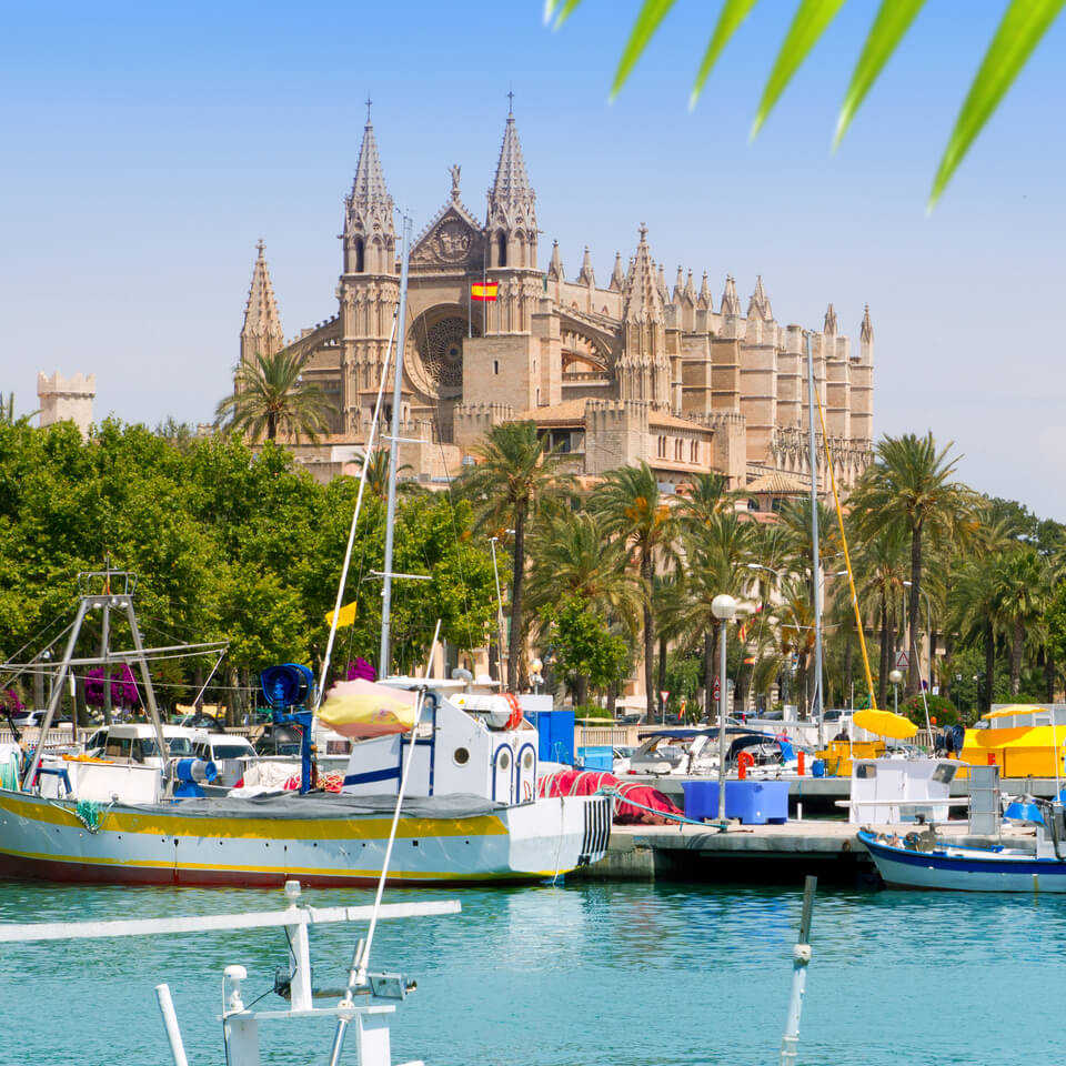 Palma La Seu