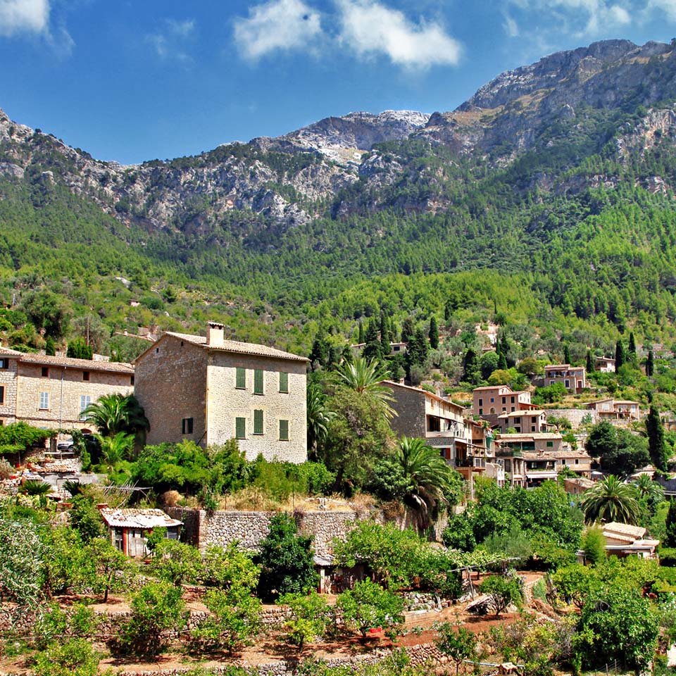 Holiday rentals 