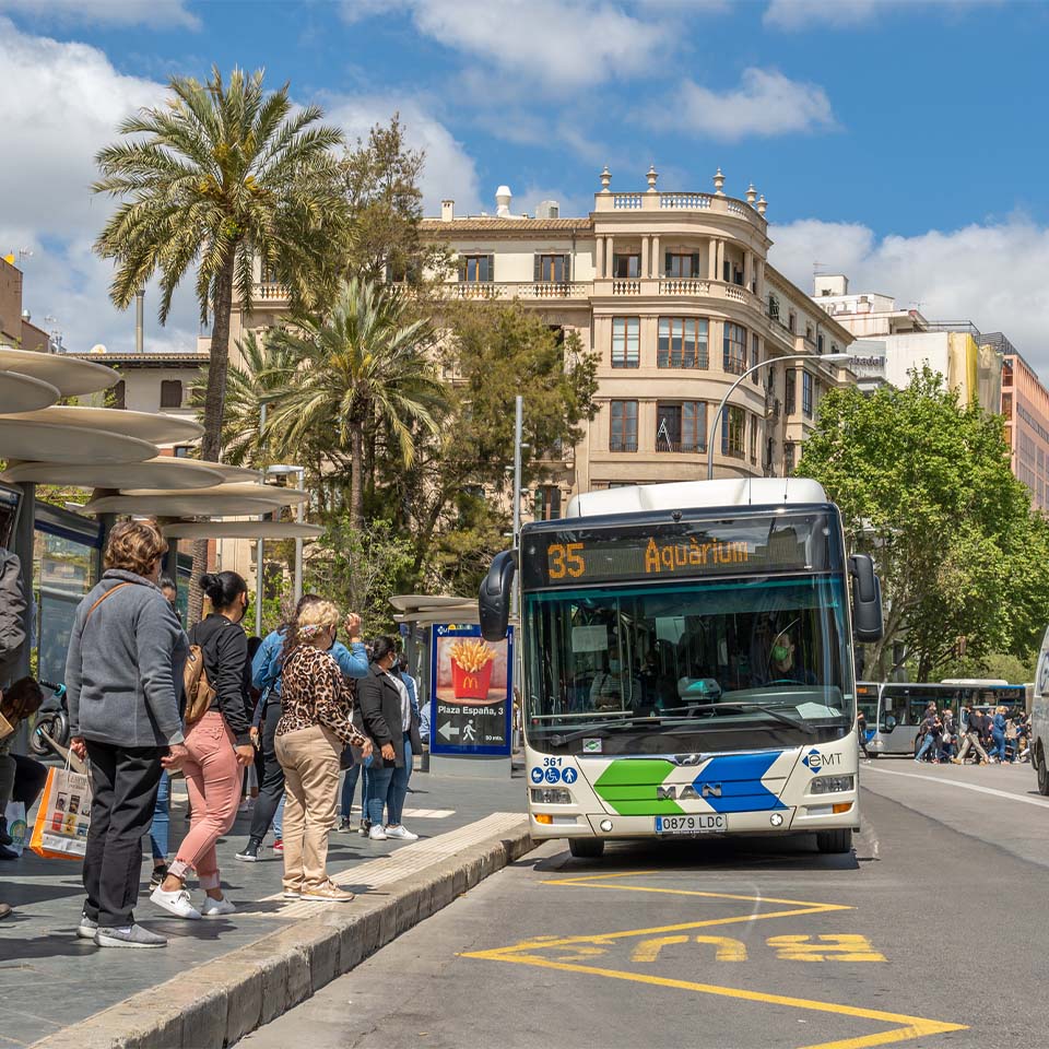  transporte-palma