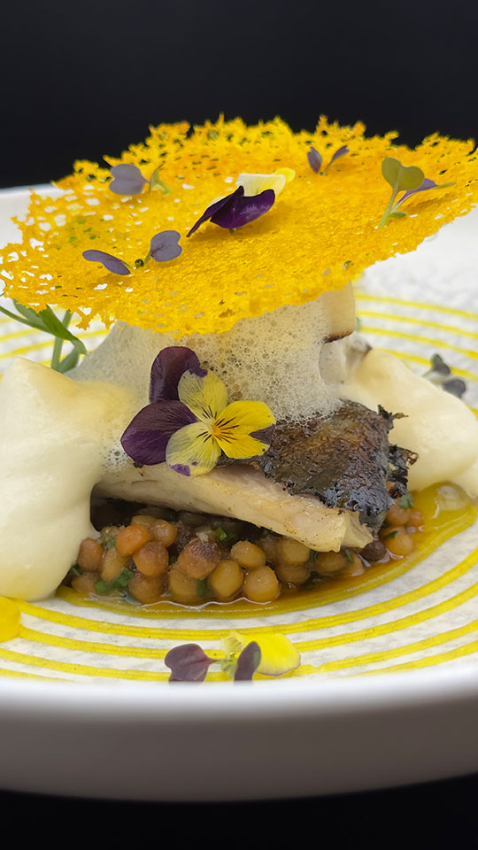 Halibut